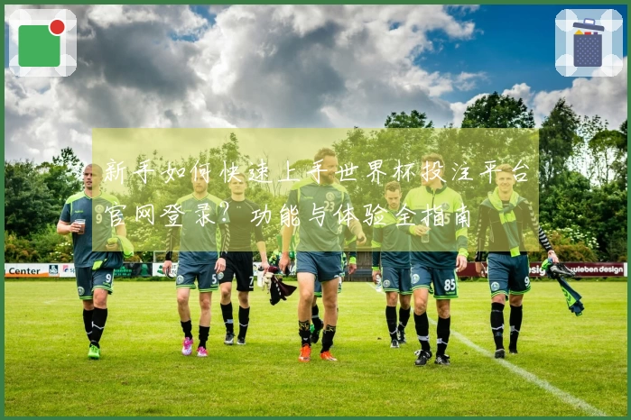 新手如何快速上手世界杯投注平台官网登录?功能与体验全指南