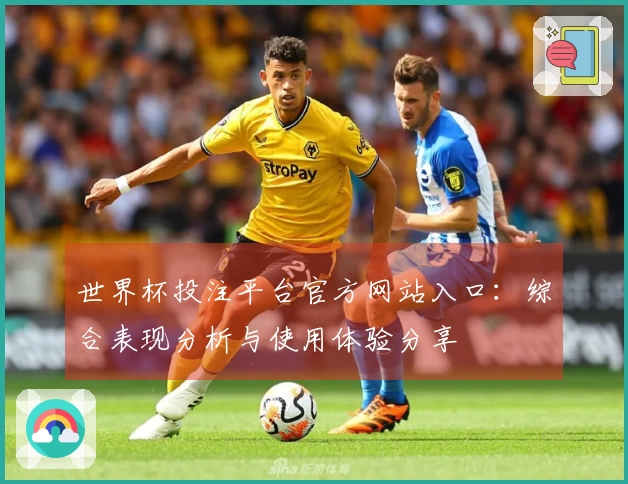 世界杯投注平台官方网站入口：综合表现分析与使用体验分享