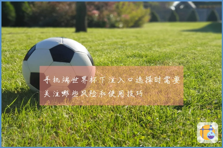 手机端世界杯下注入口选择时需要关注哪些风险和使用技巧